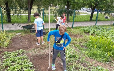 AKTIVNOSTI NA ŠEV 8. 6. 2022