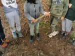 IMG_20240528_101548