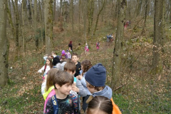 ŠPORTNI DAN: POHOD PO GOZDNI UČNI POTI 